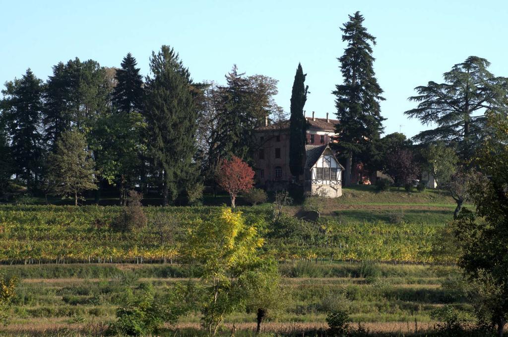 Casali Del Picchio - Winery Villa Cividale Del Friuli Exterior photo