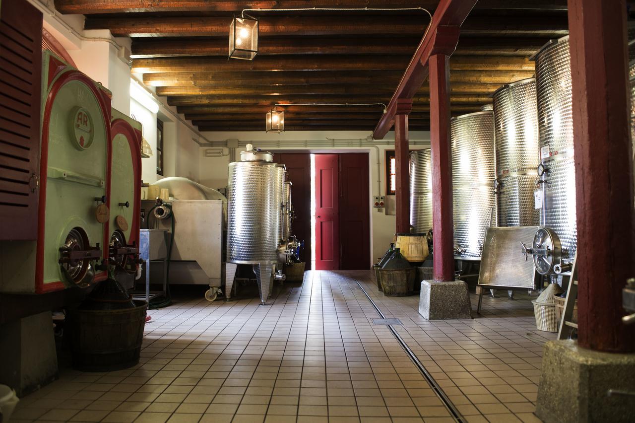 Casali Del Picchio - Winery Villa Cividale Del Friuli Exterior photo